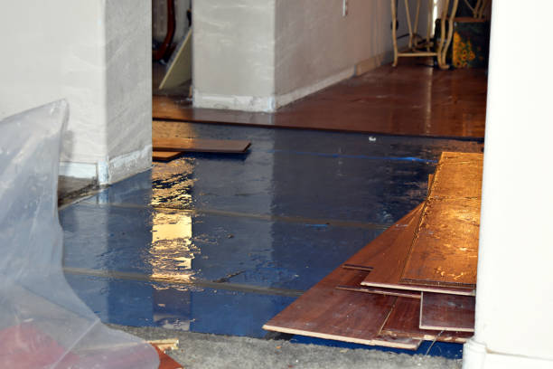 Professional Basement Flood Cleanup technician working in Wapato, WA